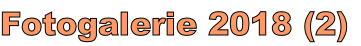 Fotogalerie 2018 (2)
