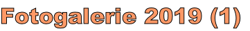 Fotogalerie 2019 (1)

